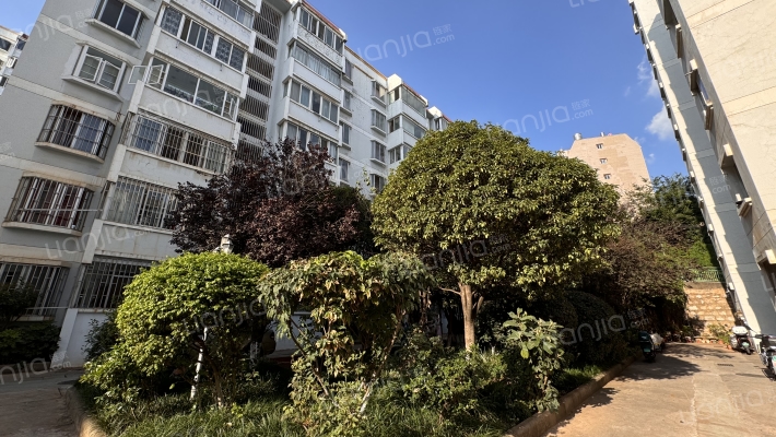 金鼎家园外景图