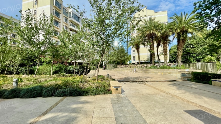 银海森林外景图