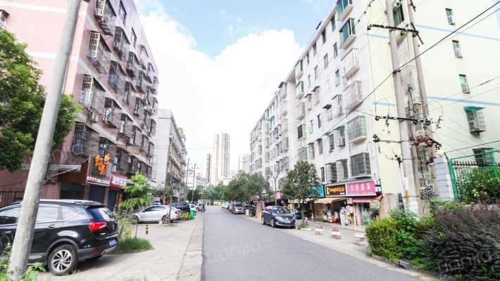 蔬菜局宿舍楼外景图