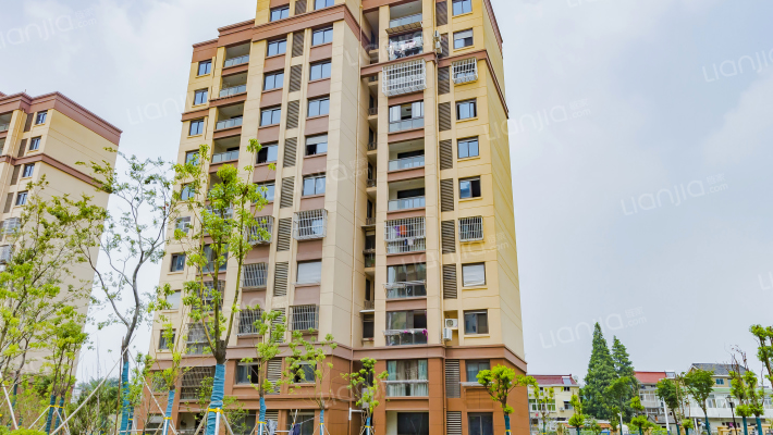 滨湖丽景花园H区外景图