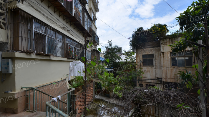 云南财经大学小龙村职工住宅区外景图