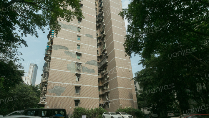 文锦玫瑰苑外景图