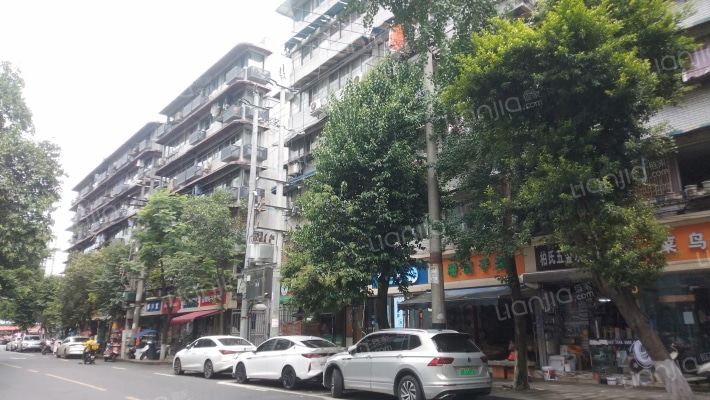 沙湾东一路19号外景图