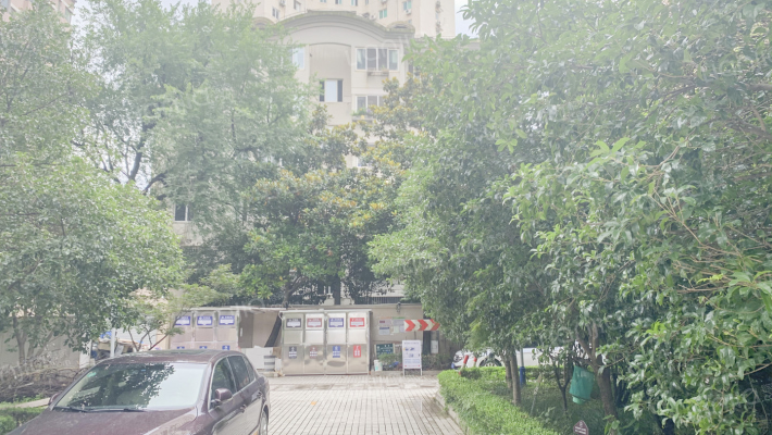 爱中爱华公寓外景图