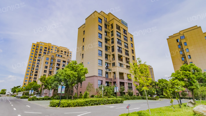 龙星家园外景图