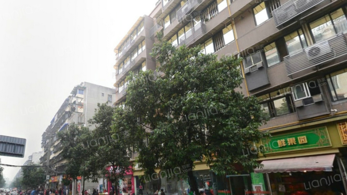 罗家碾街157号外景图