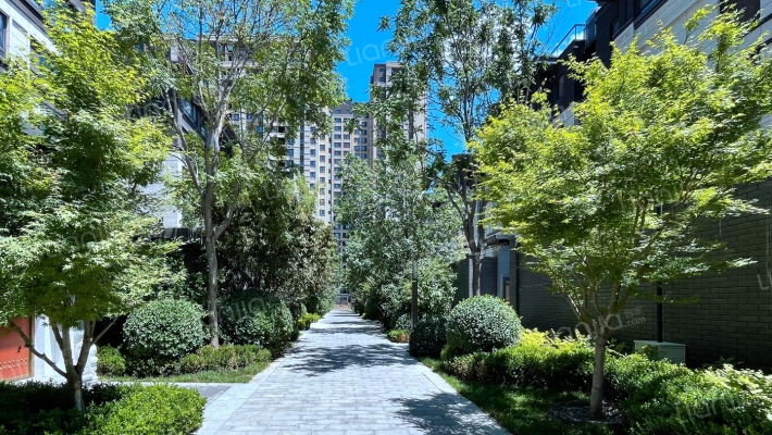 泰禾拾景园外景图