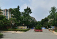 博瑞都市花园12