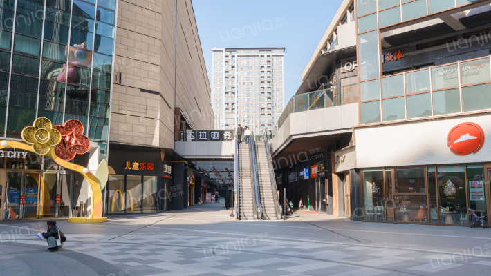 金帝星隆城外景图