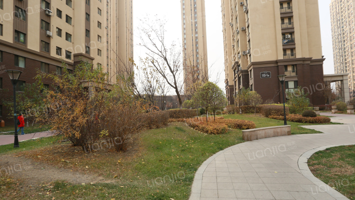 碧桂园银河城星座外景图