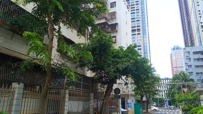 省建行宿舍（国贸）外景图