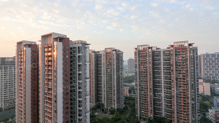 金山谷四期外景图