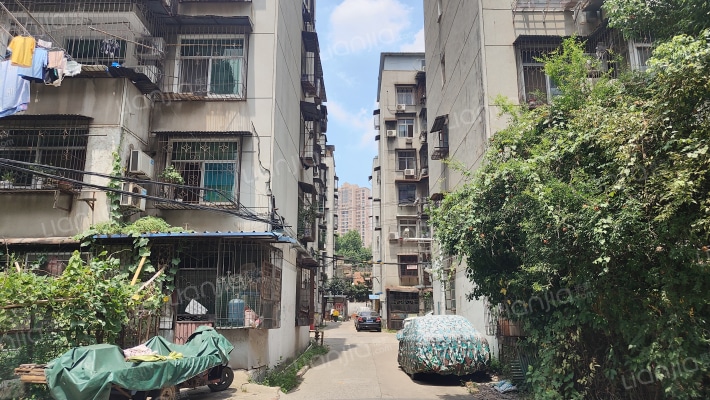 解放大道331号外景图