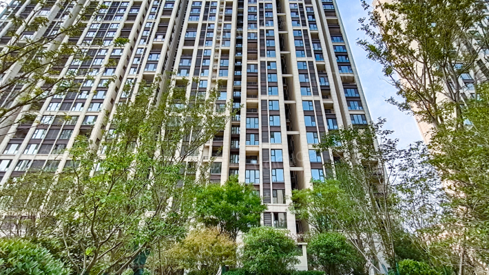 中州城芙蓉园外景图