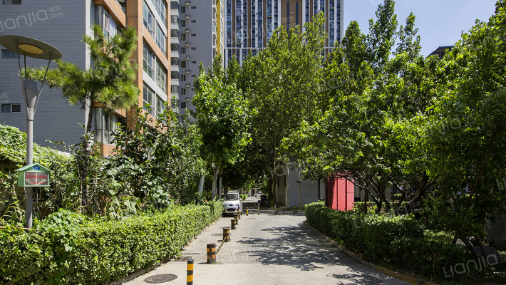 时代绿荫外景图