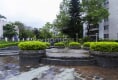 龙福一村6