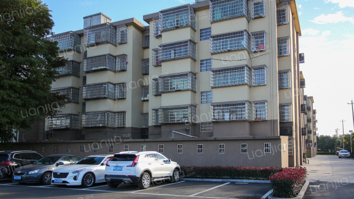 镇西新村外景图