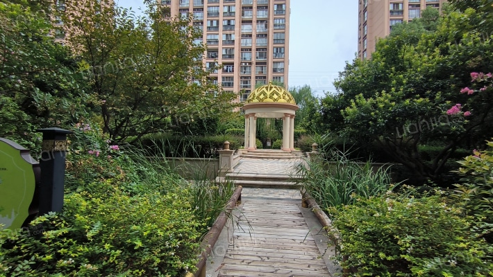 新明半岛雨荷轩外景图