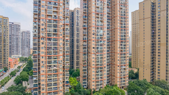 奥林紫园外景图