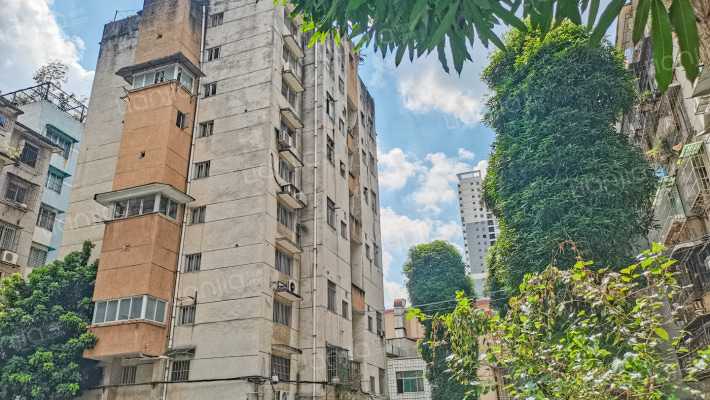 新竹路南一里4号外景图