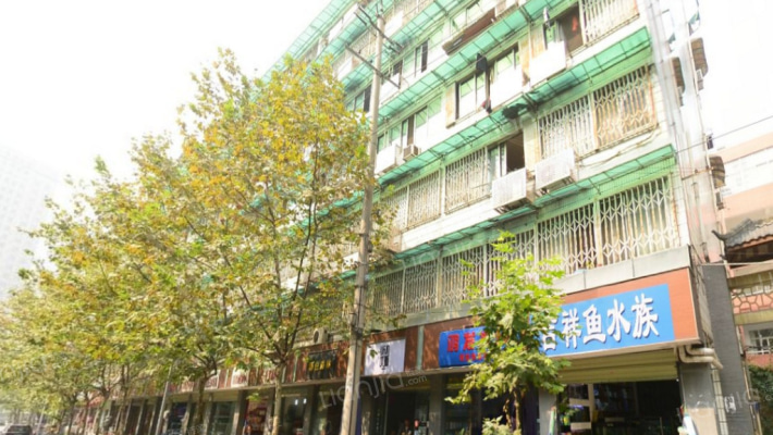 新开街3号外景图