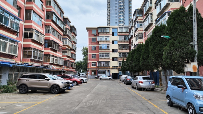 蓝星公司家属院外景图