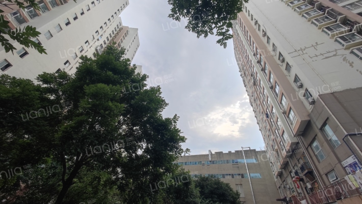 威尼斯小区外景图