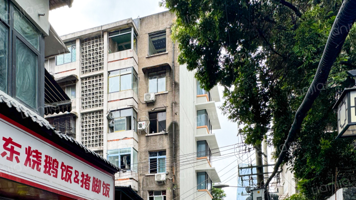 新光华街11号外景图