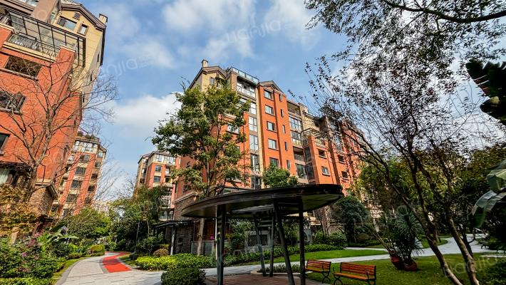 金科天宸外景图