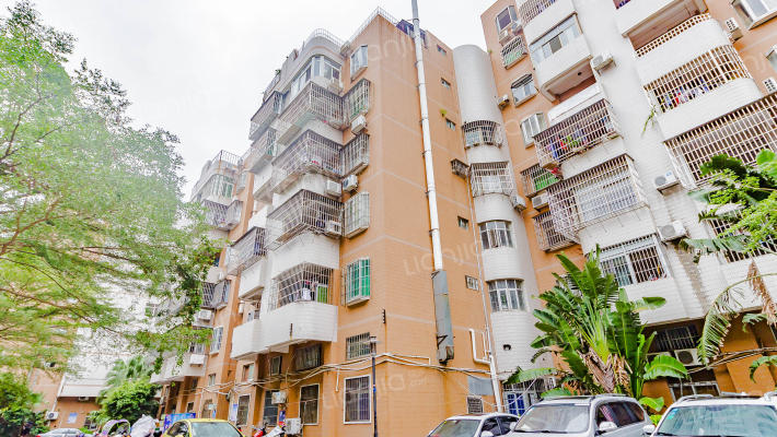 中珠花园外景图