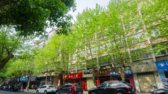 同岗里73号外景图