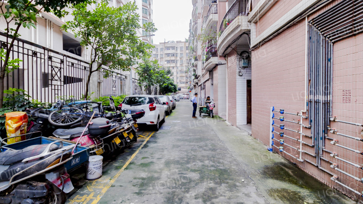 翠华轩(容桂)外景图