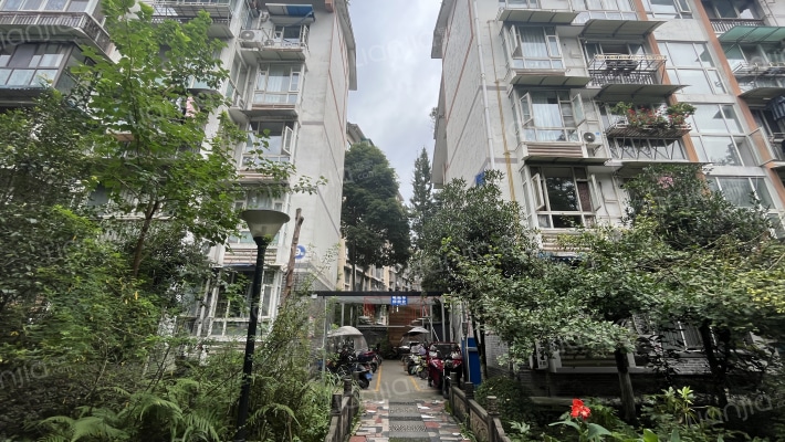 岷江河畔外景图