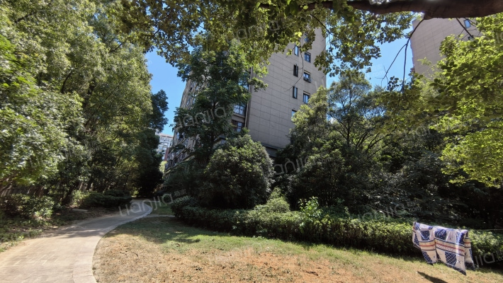 鸿意万嘉外景图