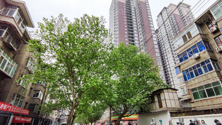 都市雅苑外景图