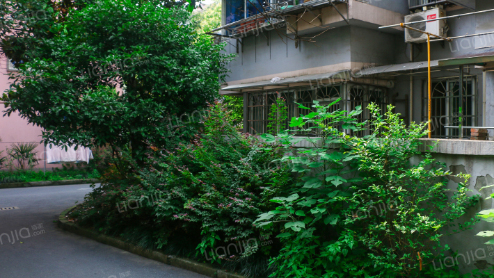 采荷小区红菱邨外景图