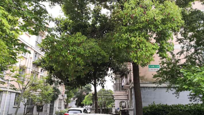 复星新苑外景图