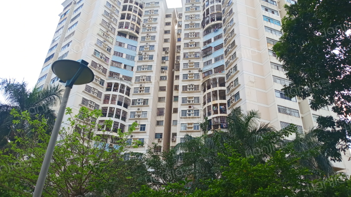 白龙大厦外景图