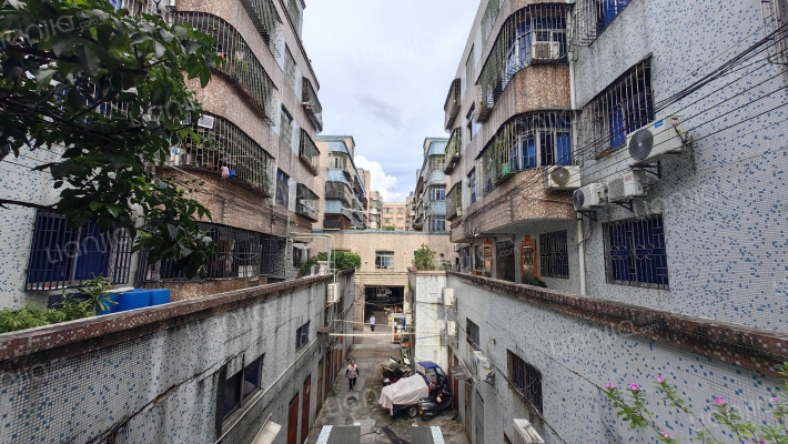 兴港花园(港口镇)外景图