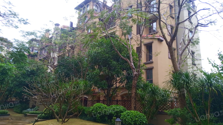 慧远美林谷外景图