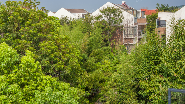 南岸别墅外景图