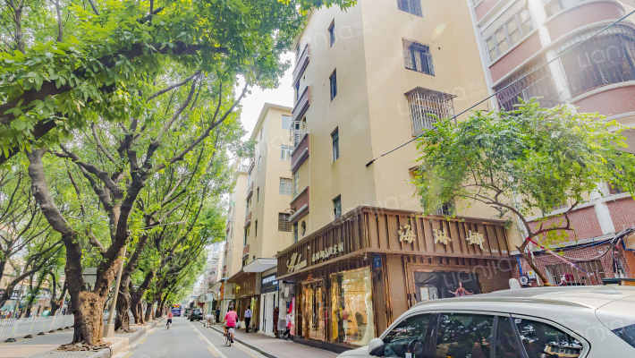 江南大道北外景图