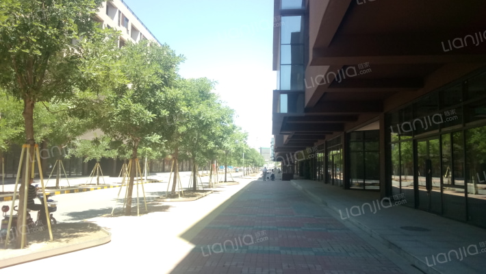 半岛金街外景图