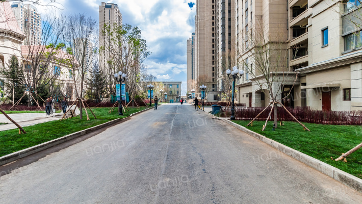 恒大帝景外景图