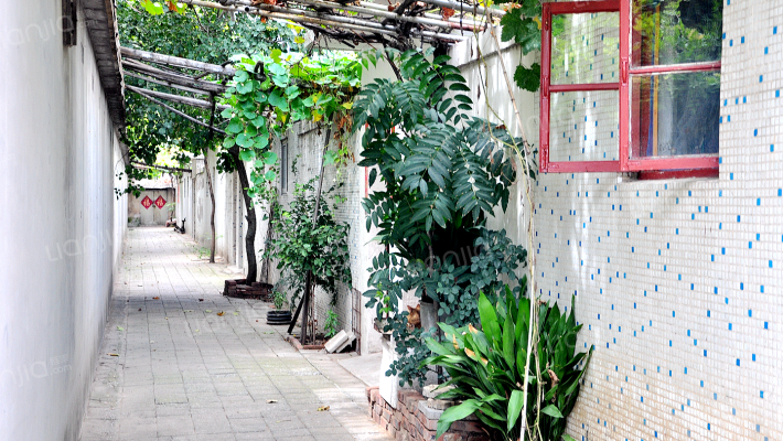 贸易局宿舍外景图