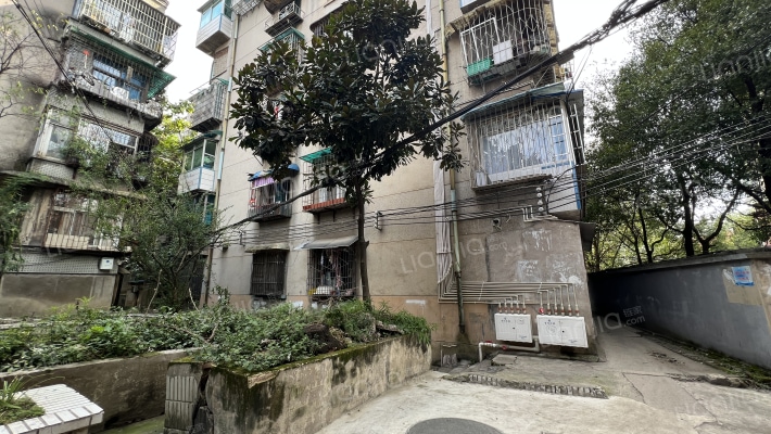 观水路43号外景图