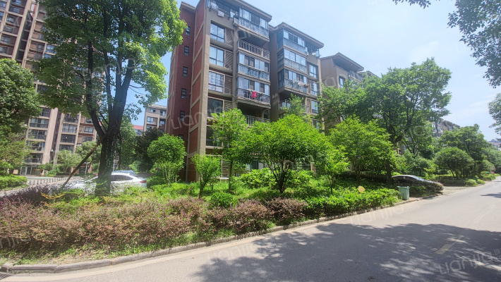 中央美地外景图