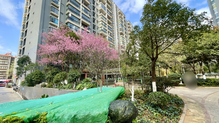 馨逸雅筑小区外景图