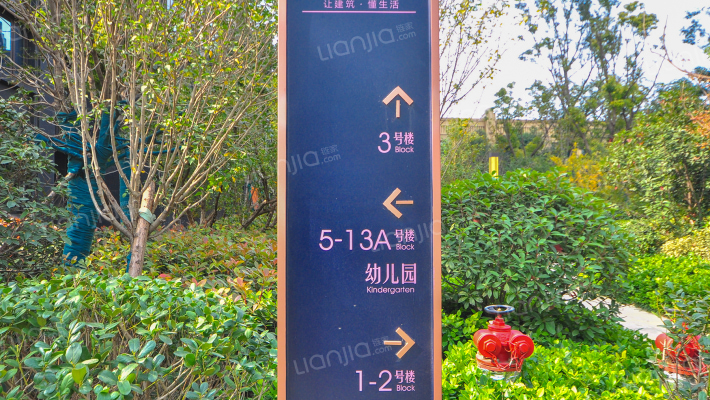 浩创梧桐春晓外景图