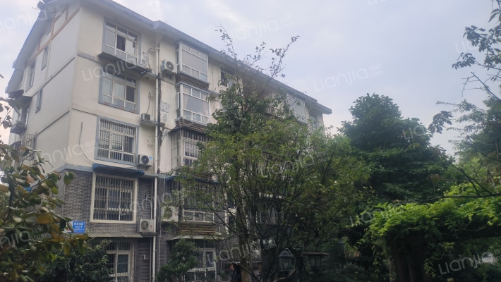 亲山印象外景图